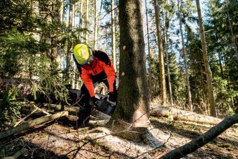 Metabo MS 36-18 LTX BL 40 Pilarka Łańcuchowa Aku.