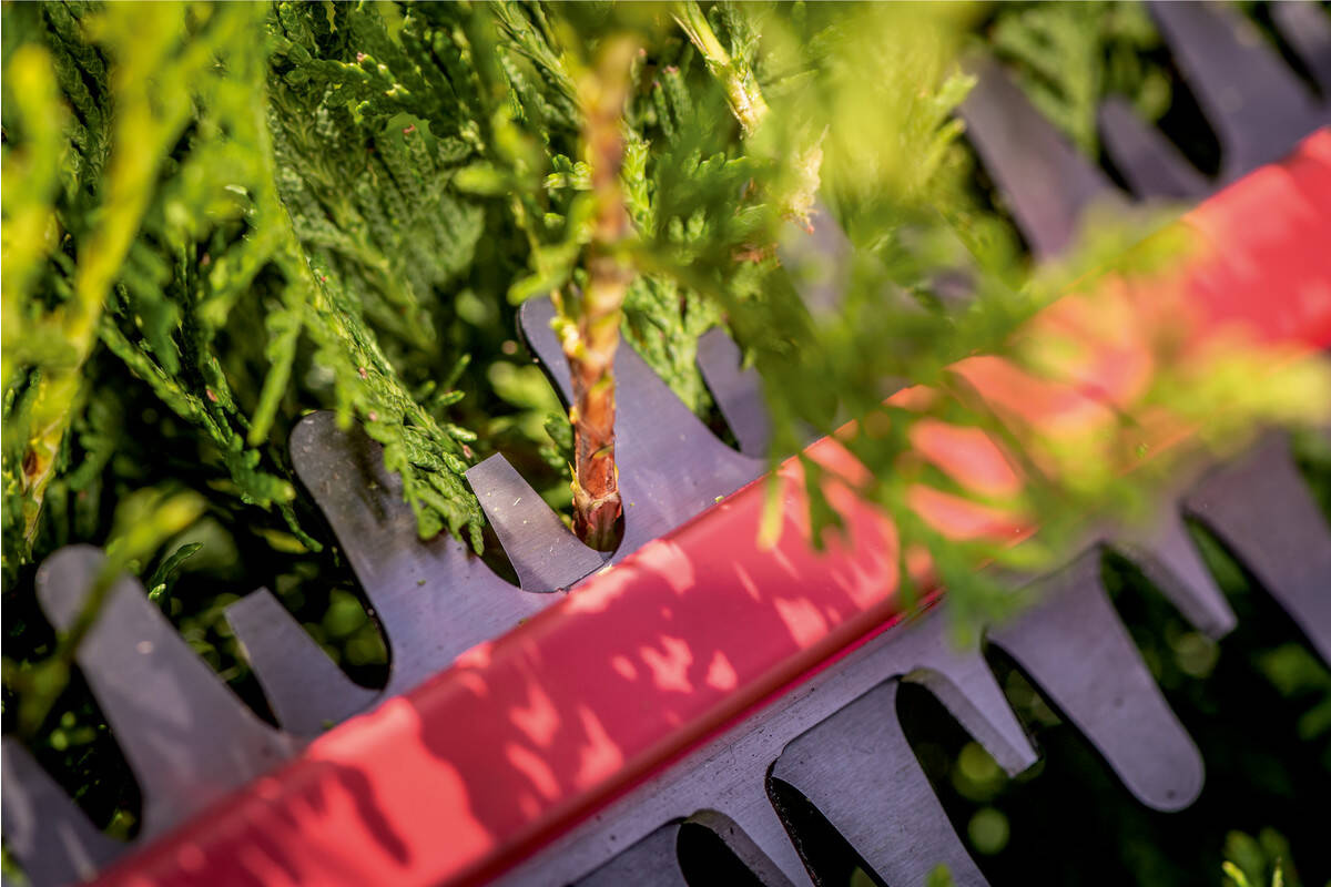 Metabo HS 18 LTX 55 Nożyce do żywopłotu Aku. 53 cm